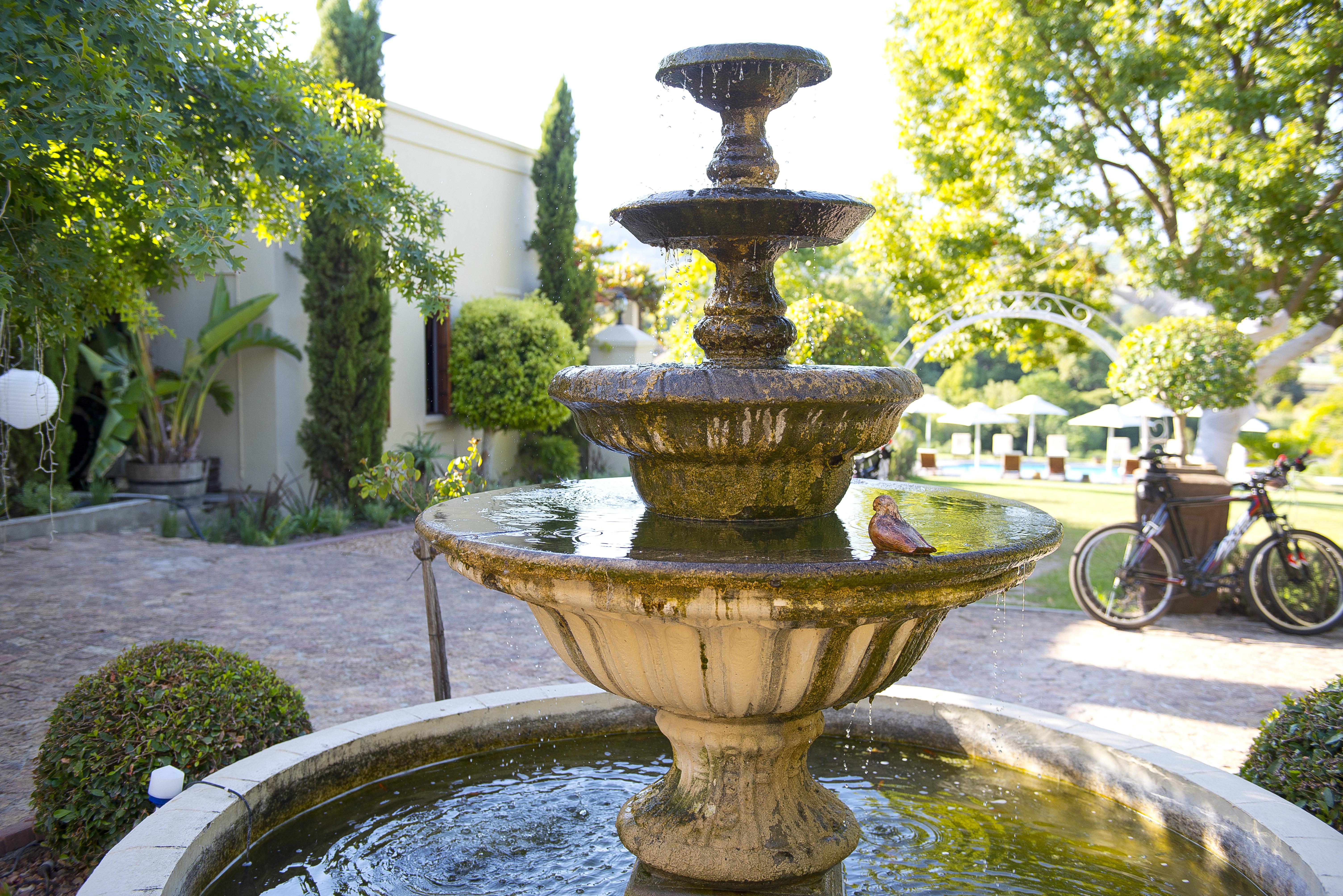 Cultivar Boutique Hotel Stellenbosch Extérieur photo