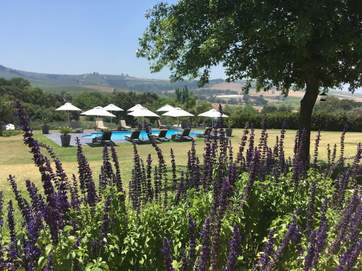 Cultivar Boutique Hotel Stellenbosch Extérieur photo